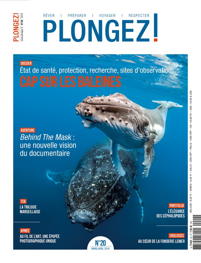 Couverture Plongez n20 Seal Adventures