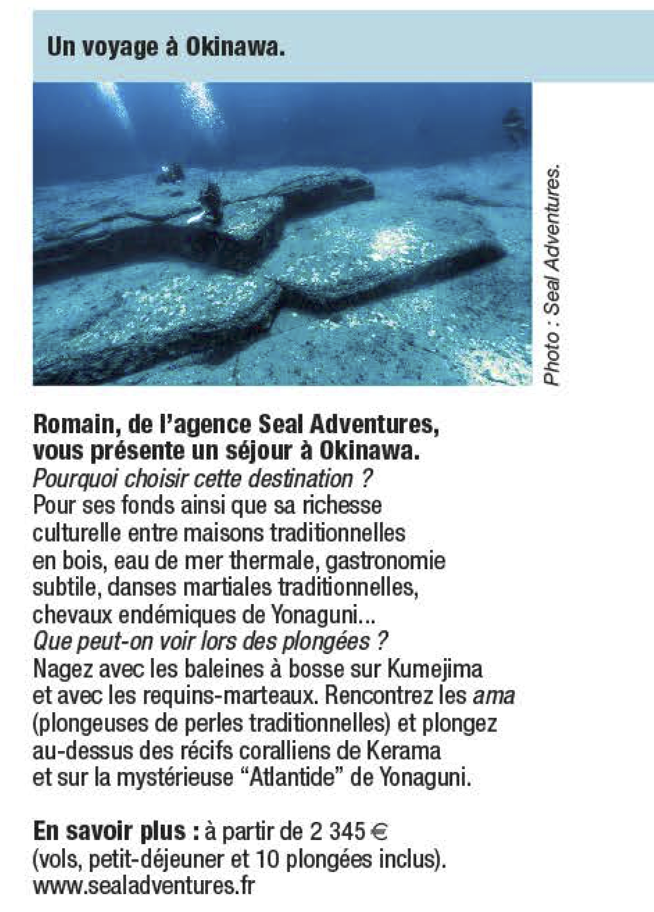 Plongez Japon Okinawa Yonaguni Seal Adventures