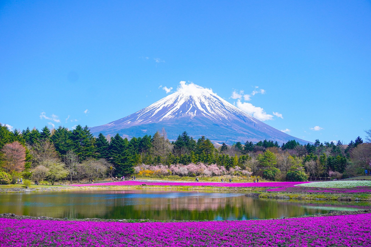 mount fuji, flower wallpaper, lake, flower background, mountain, nature, park, flowers, japan, beautiful flowers, spring