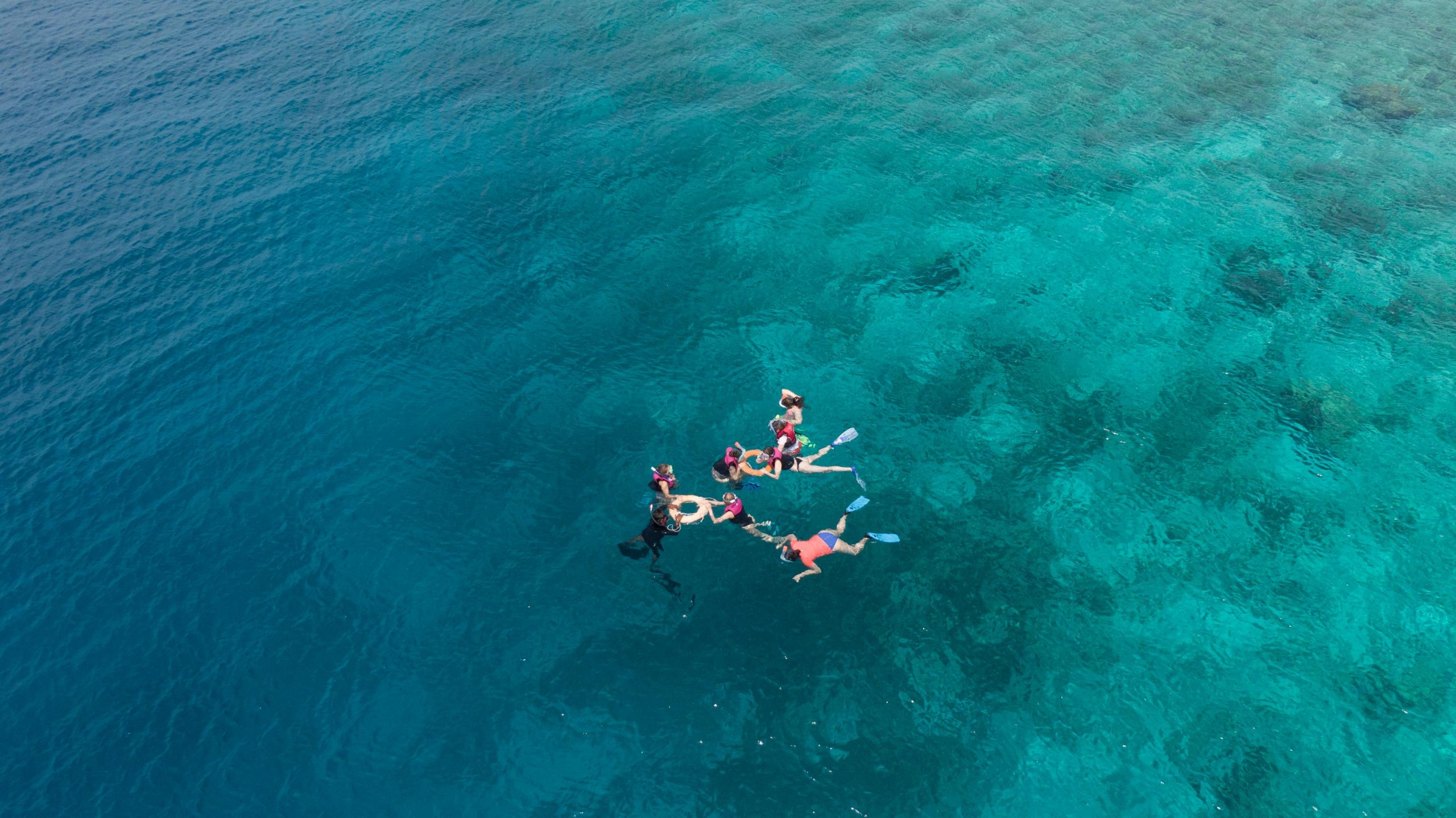 Aerial shot of a group snorkeling in clear turquoise waters near Dhonfanu, Maldives.