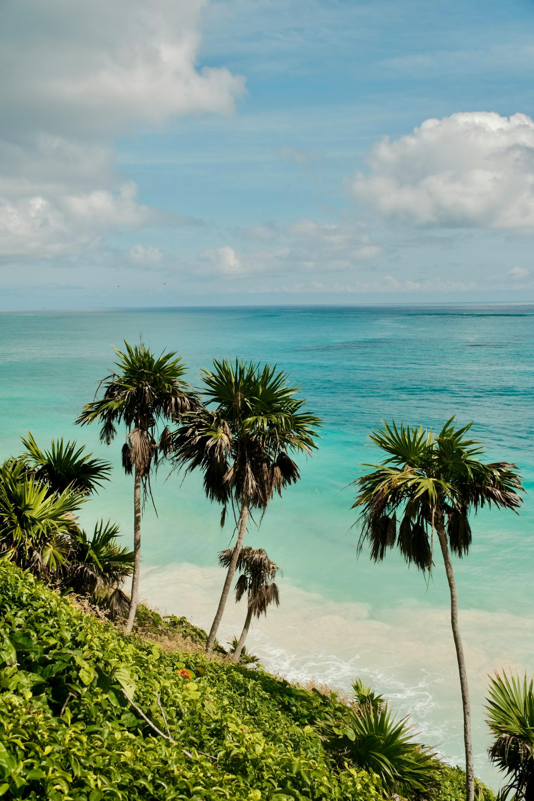 Tranquil Caribbean beach in Tulum with palm trees and turquoise waters under a blue sky.