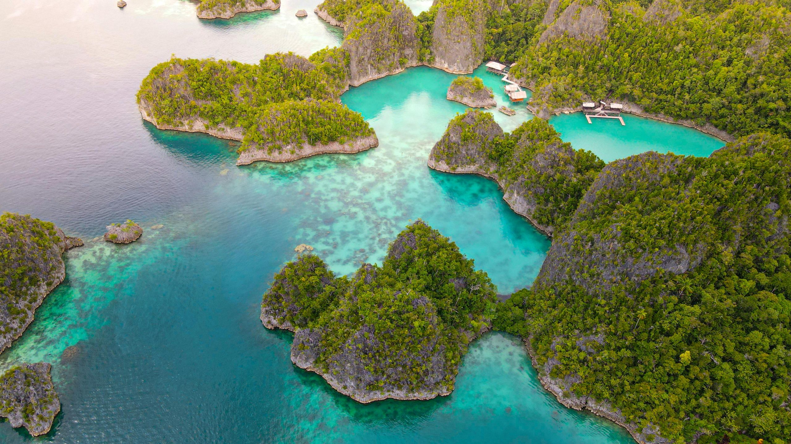 Stunning aerial view of lush green islands surrounded by turquoise waters in Raja Ampat, Indonesia.