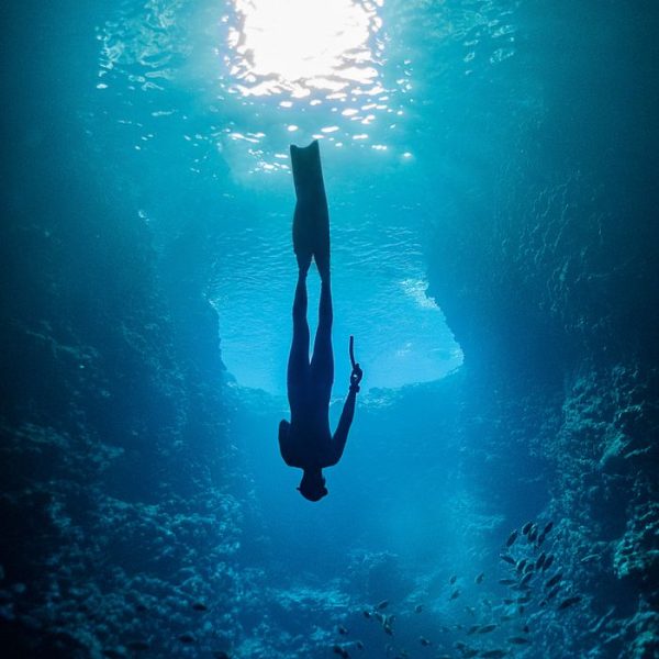 A silhouette of a freediver gliding through a vibrant underwater cave in Tonga.