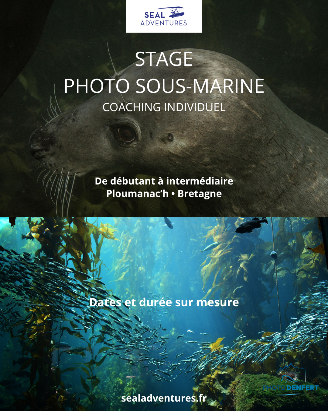 Affiche stage photo sous-marine Bretagne