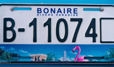 Voyage apnée à Bonaire