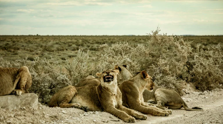 Namibie-17
