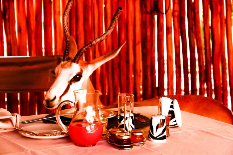 Namibie-22