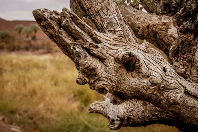 Namibie-28