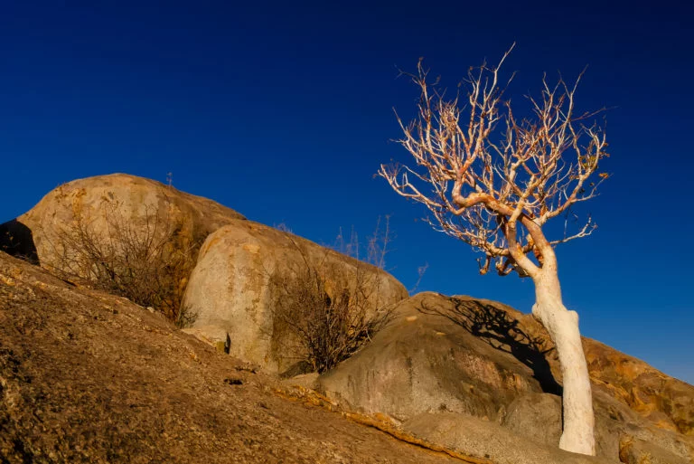 Namibie-45