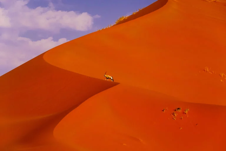 Namibie-63