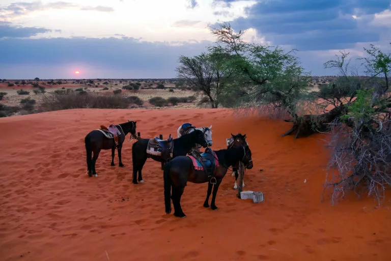 Namibie-67