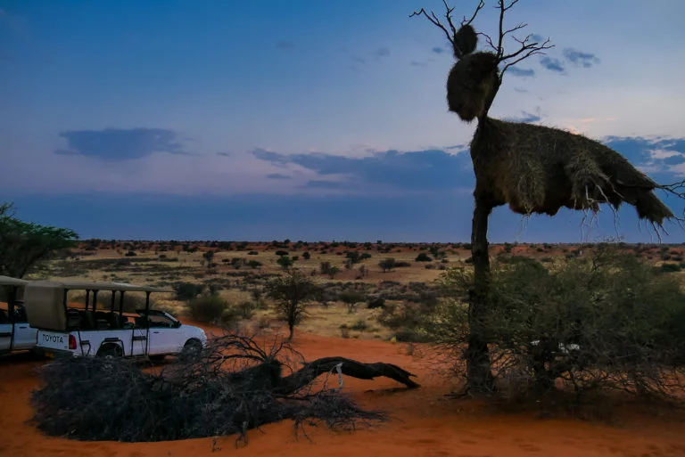 Namibie-68