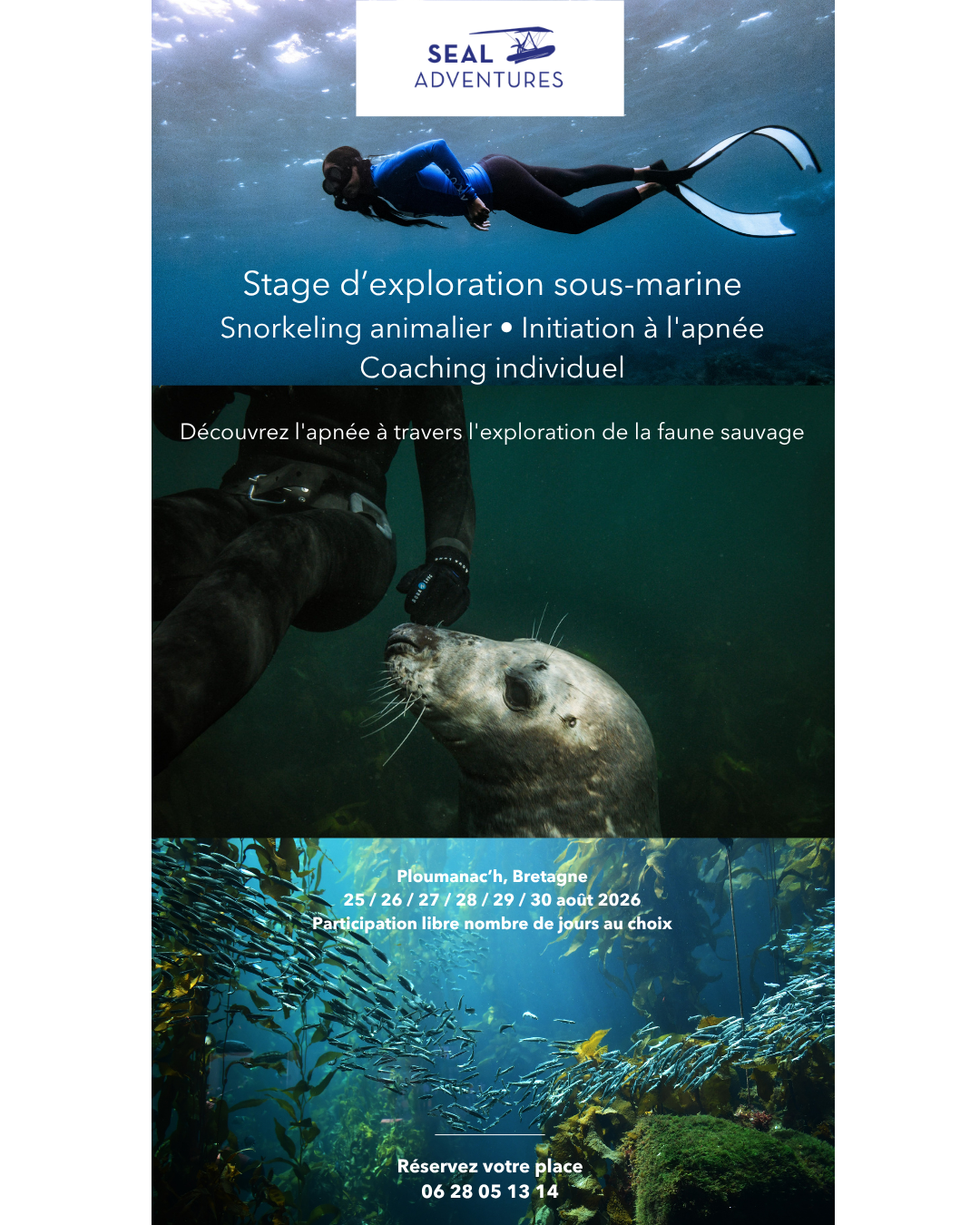 Snorkeling animalier & Apnée Bretagne (2)
