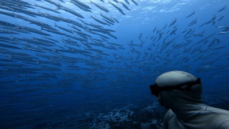 whatsapp-image-2024-09-26-at-06-34-04