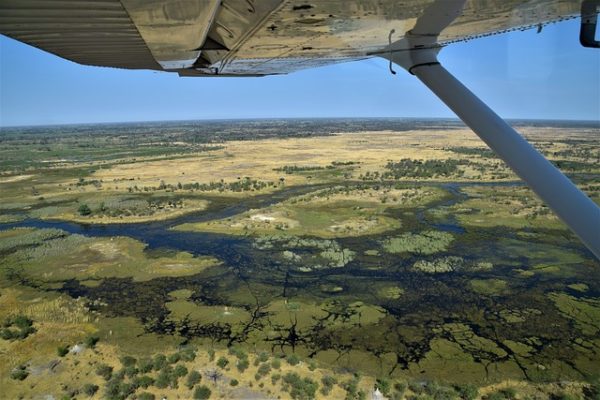 Read more about the article The Adventure by SEAL, Episode 16: Safaris in the Okavango Delta