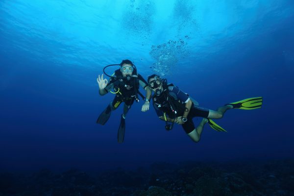 Read more about the article Voyage plongée en famille | SEAL Adventures
