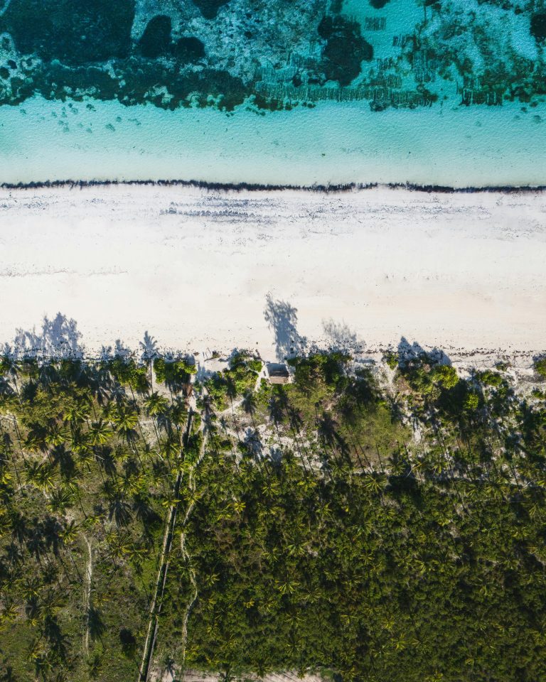 Safari Tanzanie Zanzibar : Big Five, Serengeti et plages Stunning aerial view capturing Zanzibar's turquoise waters, white sand, and lush palms.