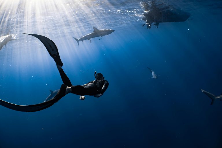 pexels-photo-6961669-6961669 Voyage apnée à Tahiti