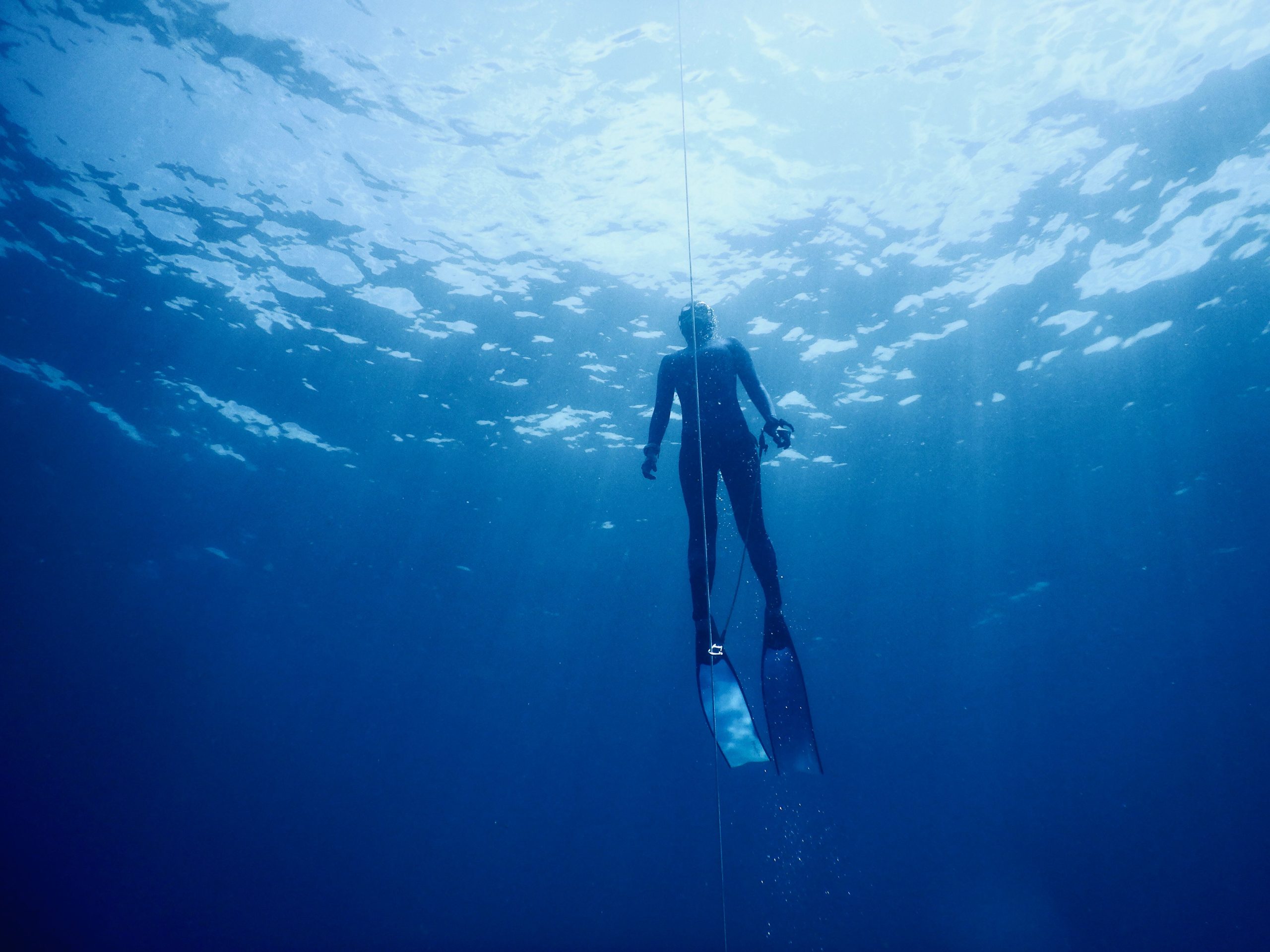 pexels-photo-7759167-7759167 Full body of unrecognizable diver in flippers and wetsuit swimming underwater of deep blue ocean on sunny day
