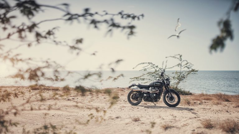 thanuj-mathew-WxgACJnkCJ8-unsplash